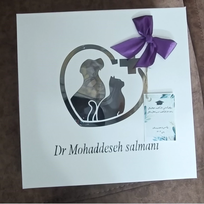 پک 10عددی جعبه های دفاعیه (پس کرایه)